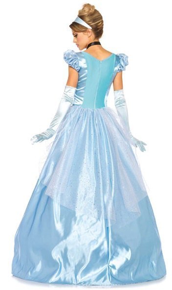 Ladies Cinderella Costume