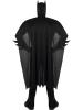 Dark Knight Batman Costume Back View