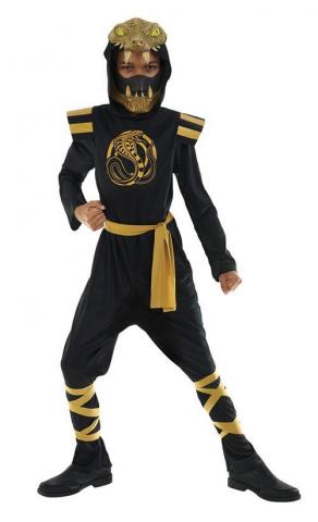 Cobra Ninja Costume