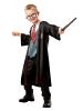 Harry Potter Fancy Dress Outfit