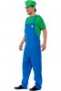 Green Plumber Fancy Dress Costume