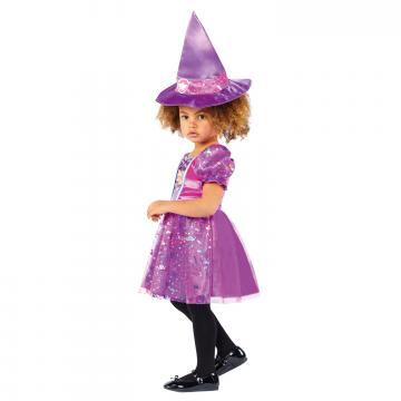 Kids Paw Patrol Skye Witch Costume