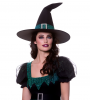 Plus Size Emerald Witch Costume