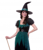 Plus Size Emerald Witch Costume