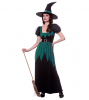 Plus Size Emerald Witch Costume