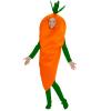 Plus Size Carrot Costume