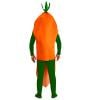 Plus Size Carrot Costume