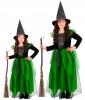 Green Witch Costume  Dress & Hat - Both Models