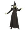 Arms open dark witch costume