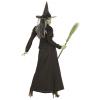 Back view of dark witch costume with broom