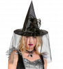 Spider Witch Hat