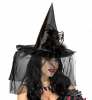 Spider Witch Hat