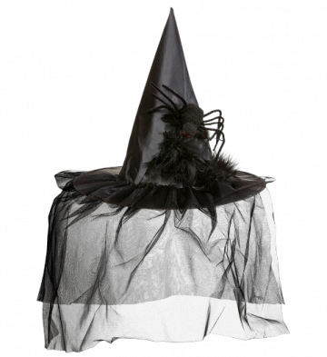 Spider Witch Hat