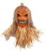 Pumpkin Scarecrow Mask - Close up