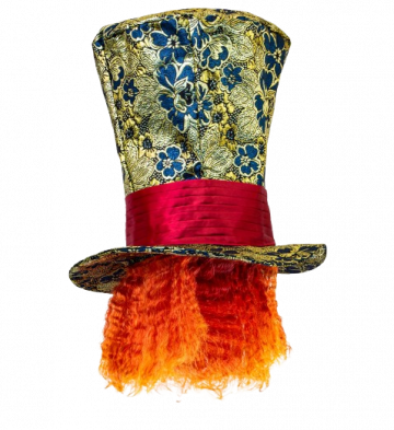 Crazy Hatter Top Hat with Hair