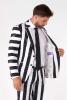 Beetlejuice Opposuit linning