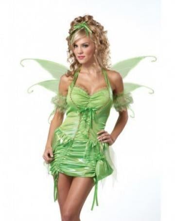 Adult Tinkerbell Fairy Costume