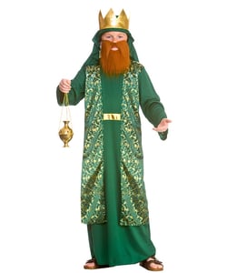 Tween Green Wise Man Costume