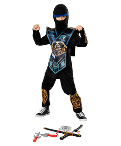 Blue Ninja Costume