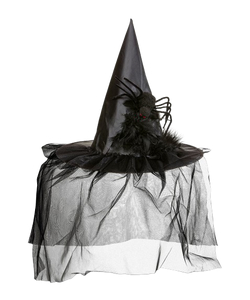 Spider Witch Hat