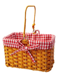 Basket with Red Gingham