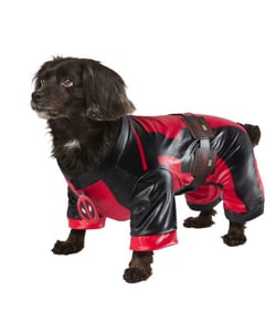 Deadpool Wolverine Pet Costume