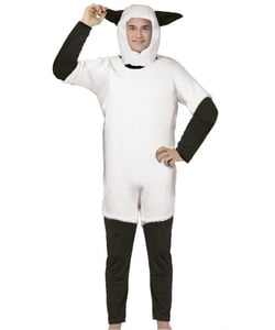 Front of sheep costume